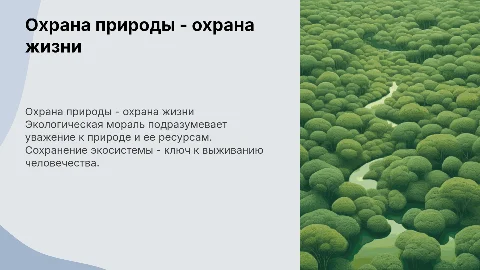 Охранять природу - значит охранять жизнь: правила морали