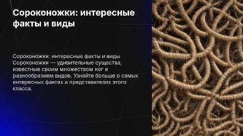 сороконожки самые интересные факты и виды