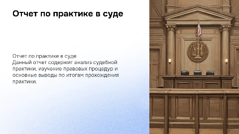 отчет по практике в суде