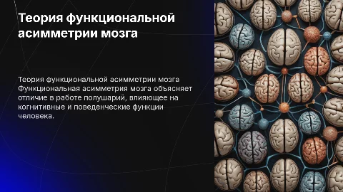 Основные положения теории функциональной асимметрии мозга