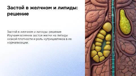 Застой в желчном. Липиды низкой плотности. Нутрицевтики