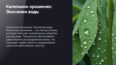 Капельное орошение (экономия воды)