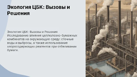 Экология ЦБК: Сточные воды и выбросы в атмосферу