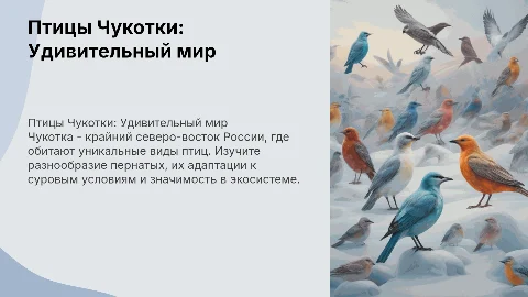 презентация для 4 класса на тему птицы Чукотки