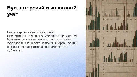 Бухгалтерский и налоговый учет: формирование налога на прибыль