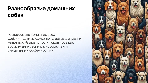 Виды домашних собак