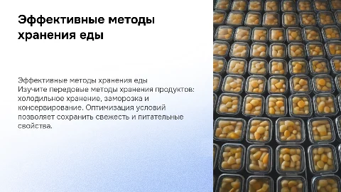 Эффективные методы хранения продуктов питания: советы и рекомендации