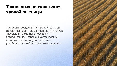 технология возделывания яровой пшеници