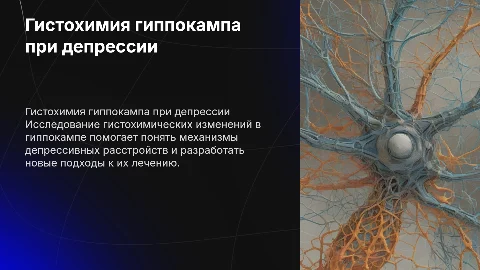 Гистохимические изменения в гиппокампе при депрессии