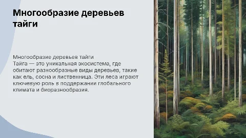 Деревья тайги