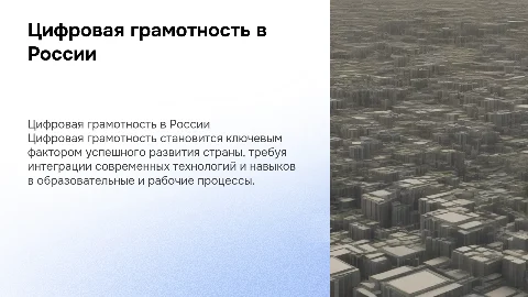Цифровая грамотность как стратегический приоритет России
