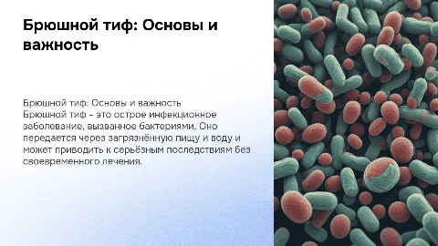 Брюшной тиф