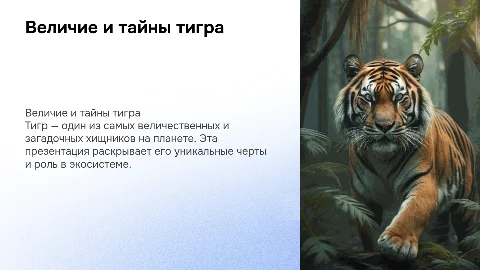 о тигре