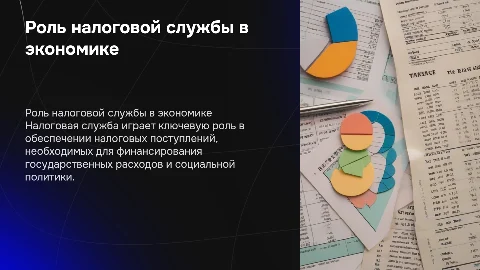 налоговая служба