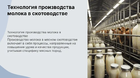Технология производства молока в мясном скотоводстве