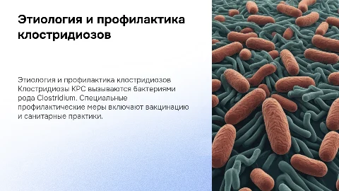 Этиология и профилактика клостридиозов у КРС