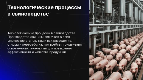 технологические процессы при производстве свинины
