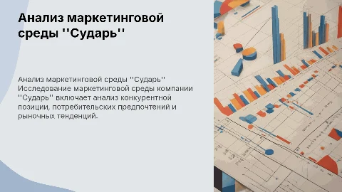 Анализ маркетинговой среды компании "Сударь"