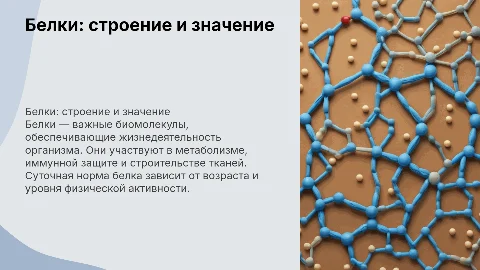 белки,их строение,значение,норма в день и полезность