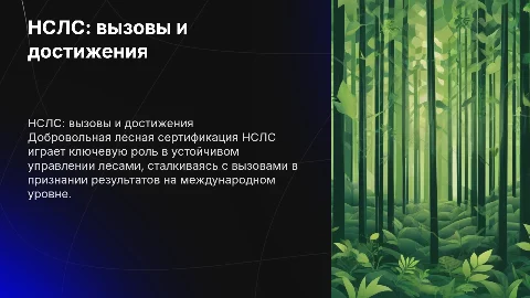 НСЛС: опыт и трудности добровольной лесной сертификации