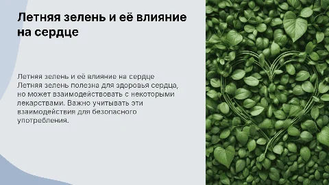Летняя зелень: влияние на сердце и лекарства