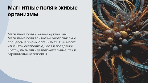 магнитные поля и их воздействия на живые организмы
