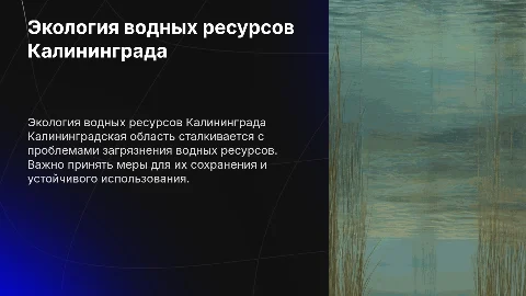 Экология. Проблемы водных ресурсов Калининградской области