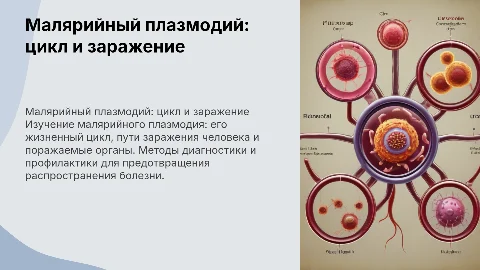 Малярийный плазмодий: жизненный цикл и диагностика