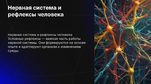 Нервная система людей , условные рефлексы
