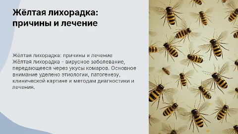 Жёлтая лихорадка: этиология, патогенез и лечение