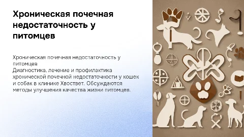 Диагностика и лечение хронической почечной недостаточности у питомцев