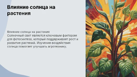 Влияние солнца на рост и развитие растений