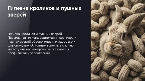 Гигиена содержания кроликов и пушных зверей
