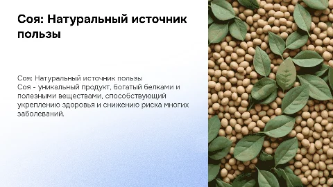 Соя и её польза для человека