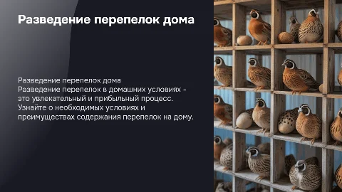 Разведение перепелок в домашних условиях