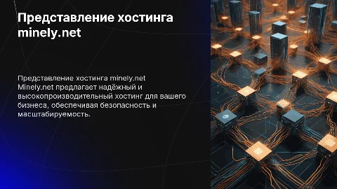 Представление хостинга minely.net