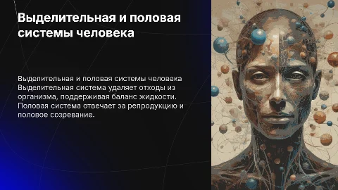 Выделительная и половая системы