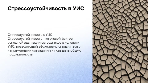 Стрессоустойчивость как критерий адаптации сотрудников УИС