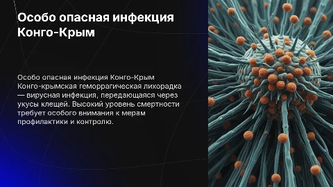 особо опасная инфекция конго крым