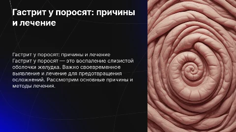 Гастрит поросят