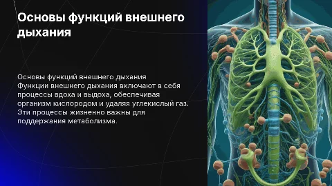 Функции внешнего дыхания