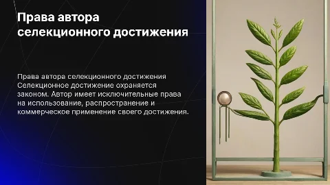 Автор селекционного достижения и его права