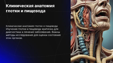 Клиническая анатомия и методы исследования глотки и пищевода