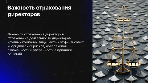 важность страхования деятельности директоров крупных компаний