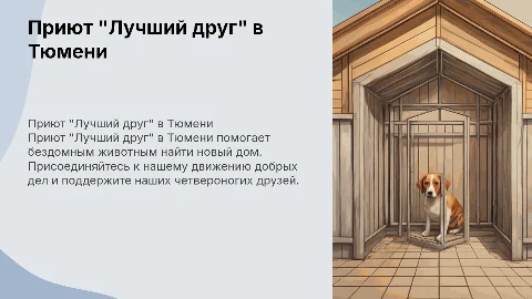 Добрые дела: Приют "Лучший друг" г. Тюмень