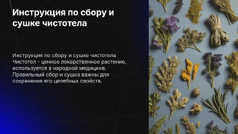ИНСТРУКЦИЯ ПО СБОРУ И СУШКЕ ЧИСТОТЕЛА