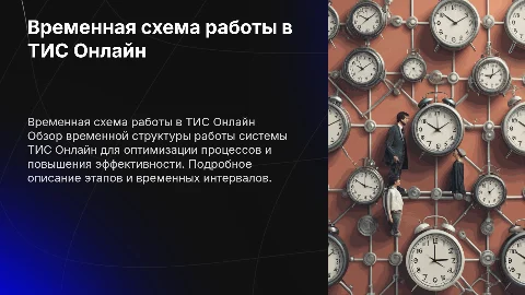 Временная схема работы в ТИС Онлайн