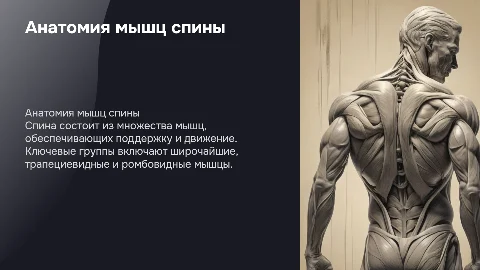 Мышцы спина