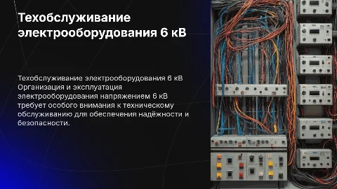 Организация технического обслуживания электрооборудования 6 кВ