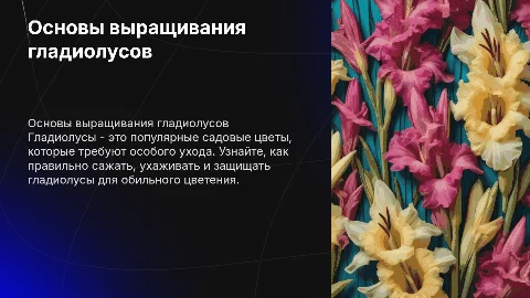 Выращивание гладиолуса